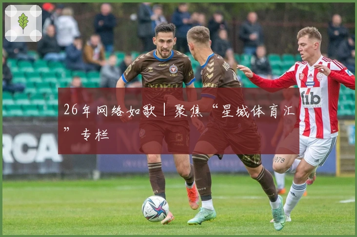 26年网络如歌｜聚焦“星城体育汇”专栏
